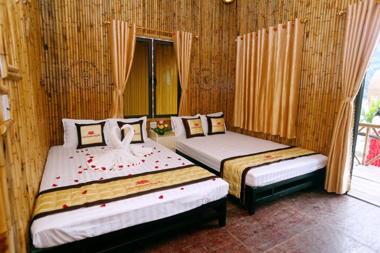 Hang Mua Lotus Homestay Ninh Bình Exteriör bild