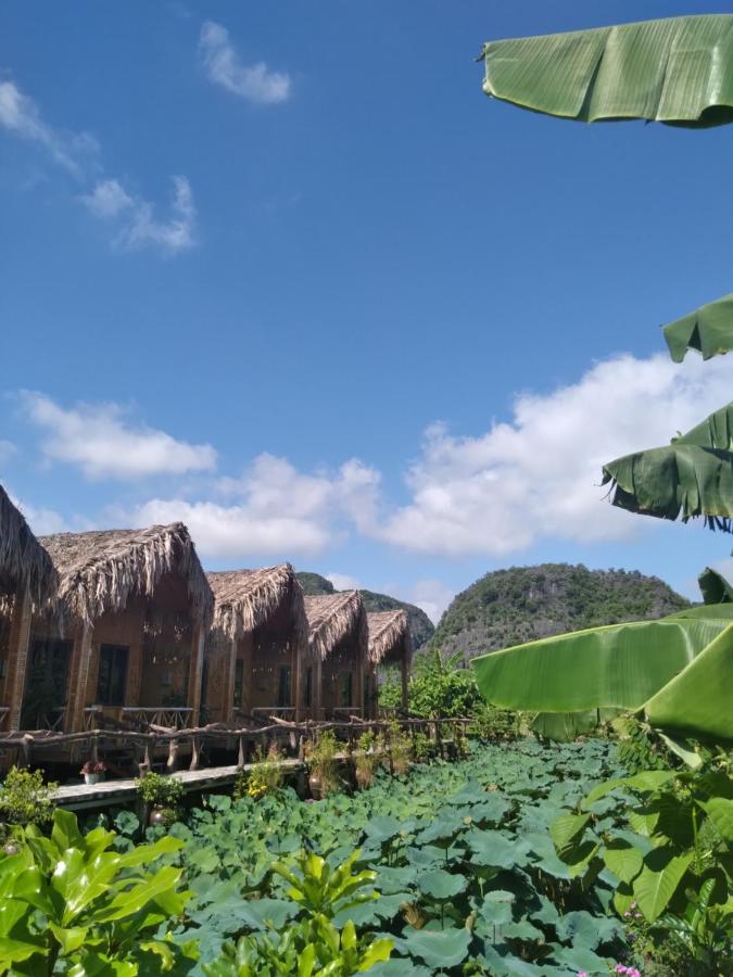 Hang Mua Lotus Homestay Ninh Bình Exteriör bild