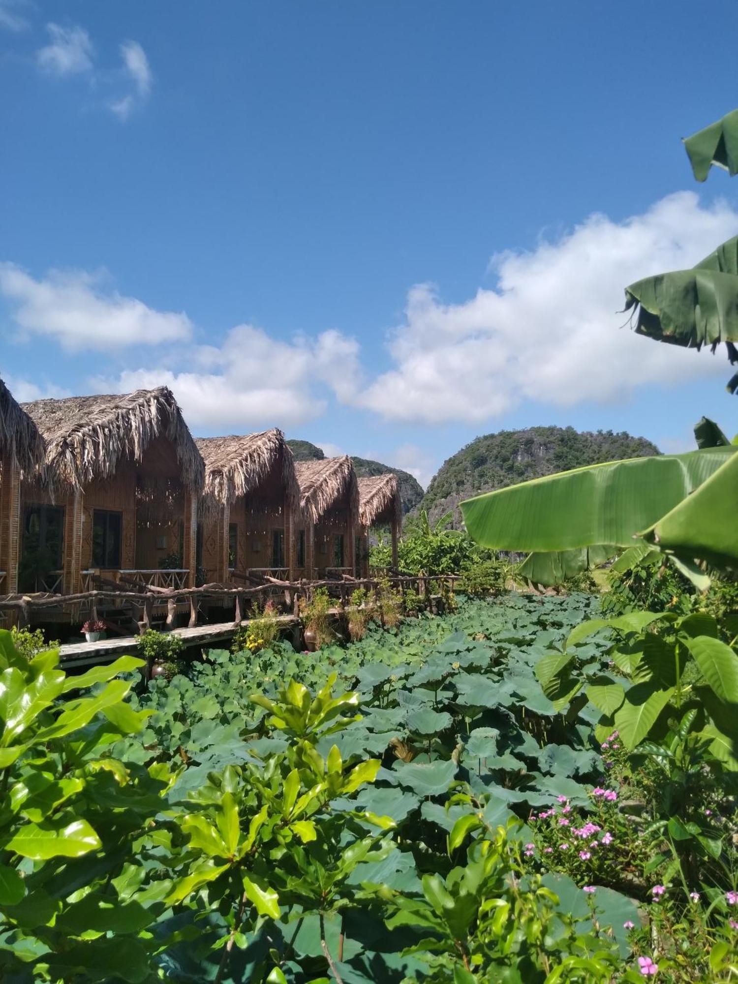 Hang Mua Lotus Homestay Ninh Bình Exteriör bild